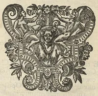 An illustration from De rara medicatione vulnerum,...libri duo... (1676)