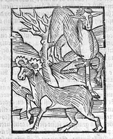 An illustration from Le Jardin de sante translaté de latin en françoys (1539)
