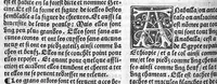 An illustration from Le Jardin de sante translaté de latin en françoys (1539)