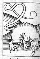 An illustration from Le Jardin de sante translaté de latin en françoys (1539)