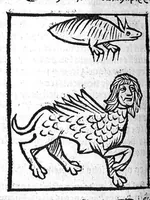 An illustration from Le Jardin de sante translaté de latin en françoys (1539)