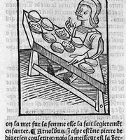 Picture 21 of 22 from Le Jardin de sante translaté de latin en françoys (1539), leaf 772