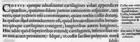 An illustration from De re anatomica libri XV (1559)