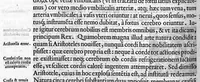 Picture 6 of 9 from De re anatomica libri XV (1559), leaf 195