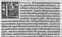 Picture 7 of 9 from De re anatomica libri XV (1559), leaf 252