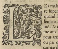 Picture 11 of 14 from Oeuvres...contenant un traité des operations de chirurgie, un traité des tumeurs, & un dictionnaire etymologique de mots grecs sevans à la médecine, recueillies par maistre Guillaule Parthon (1658), leaf 151