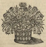 Picture 2 of 14 from Oeuvres...contenant un traité des operations de chirurgie, un traité des tumeurs, & un dictionnaire etymologique de mots grecs sevans à la médecine, recueillies par maistre Guillaule Parthon (1658), leaf 27