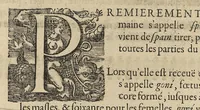 An illustration from Oeuvres...contenant un traité des operations de chirurgie, un traité des tumeurs, & un dictionnaire etymologique de mots grecs sevans à la médecine, recueillies par maistre Guillaule Parthon (1658)