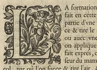 Picture 6 of 14 from Oeuvres...contenant un traité des operations de chirurgie, un traité des tumeurs, & un dictionnaire etymologique de mots grecs sevans à la médecine, recueillies par maistre Guillaule Parthon (1658), leaf 75