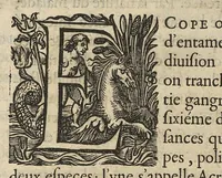 Picture 8 of 14 from Oeuvres...contenant un traité des operations de chirurgie, un traité des tumeurs, & un dictionnaire etymologique de mots grecs sevans à la médecine, recueillies par maistre Guillaule Parthon (1658), leaf 76