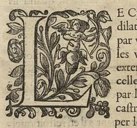 Picture 10 of 14 from Oeuvres...contenant un traité des operations de chirurgie, un traité des tumeurs, & un dictionnaire etymologique de mots grecs sevans à la médecine, recueillies par maistre Guillaule Parthon (1658), leaf 95