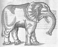 An illustration from Les Oeuvres d’Ambroise Paré, conseiller et premier chirurgien du roy, divisées en vingt-sept livres : avec les figures et portraicts tant de l’Anatomie que des instruments de chirurgie et de plusieurs monstres : reveuz et augmentez par l’autheur pour la seconde Edition, Paris, (1579)