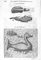 Picture 33 of 35 from Les Oeuvres d’Ambroise Paré, conseiller et premier chirurgien du roy, divisées en vingt-sept livres : avec les figures et portraicts tant de l’Anatomie que des instruments de chirurgie et de plusieurs monstres : reveuz et augmentez par l’autheur pour la seconde Edition, Paris, (1579), leaf 1302