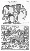 Picture 34 of 35 from Les Oeuvres d’Ambroise Paré, conseiller et premier chirurgien du roy, divisées en vingt-sept livres : avec les figures et portraicts tant de l’Anatomie que des instruments de chirurgie et de plusieurs monstres : reveuz et augmentez par l’autheur pour la seconde Edition, Paris, (1579), leaf 1311