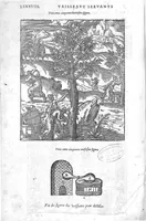 Picture 35 of 35 from Les Oeuvres d’Ambroise Paré, conseiller et premier chirurgien du roy, divisées en vingt-sept livres : avec les figures et portraicts tant de l’Anatomie que des instruments de chirurgie et de plusieurs monstres : reveuz et augmentez par l’autheur pour la seconde Edition, Paris, (1579), leaf 1320