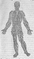 An illustration from Les Oeuvres d’Ambroise Paré, conseiller et premier chirurgien du roy, divisées en vingt-sept livres : avec les figures et portraicts tant de l’Anatomie que des instruments de chirurgie et de plusieurs monstres : reveuz et augmentez par l’autheur pour la seconde Edition, Paris, (1579)