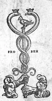 An illustration from Antonii Musae Brasavoli medici ferrariensis in octo libros aphorismorum Hippocratis et Galeni, Commentaria et Annotationes (1541)