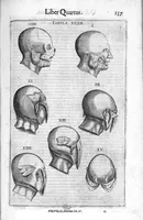 Picture 9 of 39 from De anatome corporis humani. Libri VII (1611), leaf 167