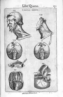 Picture 11 of 39 from De anatome corporis humani. Libri VII (1611), leaf 181