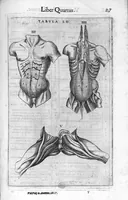 Picture 18 of 39 from De anatome corporis humani. Libri VII (1611), leaf 227