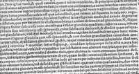 Picture 25 of 39 from De anatome corporis humani. Libri VII (1611), leaf 323