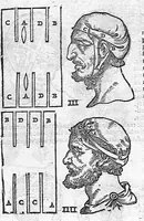 Picture 26 of 39 from De anatome corporis humani. Libri VII (1611), leaf 401
