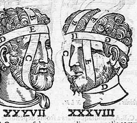 Picture 30 of 39 from De anatome corporis humani. Libri VII (1611), leaf 407