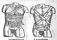 Picture 31 of 39 from De anatome corporis humani. Libri VII (1611), leaf 416
