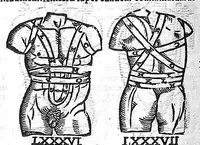 Picture 32 of 39 from De anatome corporis humani. Libri VII (1611), leaf 416