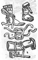 Picture 35 of 39 from De anatome corporis humani. Libri VII (1611), leaf 433