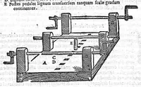Picture 37 of 39 from De anatome corporis humani. Libri VII (1611), leaf 445