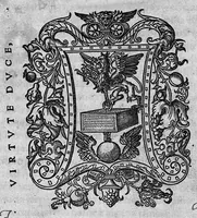 An illustration from Ennarationum medicinalium libri sex... (1554)