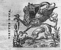An illustration from Ennarationum medicinalium libri sex... (1554)