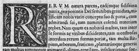 An illustration from Observationum medicinalium libri sex,... (1573)