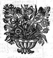An illustration from Oeuvres de chirurgie (1649)
