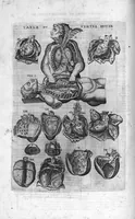 Picture 33 of 38 from Tables anatomiques avec les pourtraicts et declaration d'iceulx ensemble un denombrement de cinq cens maladies diverses, au Roy par Jac. Guillemeau d’Orleans, Chirurgien du Roy et Juré a Paris, [suivi de] Anatomie universelle du corps humain en tables methodiques. Avec les portraicts et figures de chacune des parties et declaration d’icelles. Divisee en sept livres ensemble un denombrement de cinq cens maladies diverses. Au Roy par Jaques Guillemeau, chirurgien du roy, et jure a Paris, (1586), leaf 103