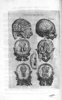 Picture 34 of 38 from Tables anatomiques avec les pourtraicts et declaration d'iceulx ensemble un denombrement de cinq cens maladies diverses, au Roy par Jac. Guillemeau d’Orleans, Chirurgien du Roy et Juré a Paris, [suivi de] Anatomie universelle du corps humain en tables methodiques. Avec les portraicts et figures de chacune des parties et declaration d’icelles. Divisee en sept livres ensemble un denombrement de cinq cens maladies diverses. Au Roy par Jaques Guillemeau, chirurgien du roy, et jure a Paris, (1586), leaf 111