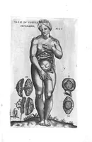 Picture 7 of 38 from Tables anatomiques avec les pourtraicts et declaration d'iceulx ensemble un denombrement de cinq cens maladies diverses, au Roy par Jac. Guillemeau d’Orleans, Chirurgien du Roy et Juré a Paris, [suivi de] Anatomie universelle du corps humain en tables methodiques. Avec les portraicts et figures de chacune des parties et declaration d’icelles. Divisee en sept livres ensemble un denombrement de cinq cens maladies diverses. Au Roy par Jaques Guillemeau, chirurgien du roy, et jure a Paris, (1586), leaf 12