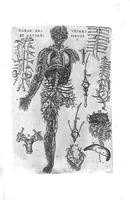 Picture 9 of 38 from Tables anatomiques avec les pourtraicts et declaration d'iceulx ensemble un denombrement de cinq cens maladies diverses, au Roy par Jac. Guillemeau d’Orleans, Chirurgien du Roy et Juré a Paris, [suivi de] Anatomie universelle du corps humain en tables methodiques. Avec les portraicts et figures de chacune des parties et declaration d’icelles. Divisee en sept livres ensemble un denombrement de cinq cens maladies diverses. Au Roy par Jaques Guillemeau, chirurgien du roy, et jure a Paris, (1586), leaf 16