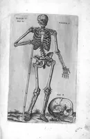 Picture 2 of 38 from Tables anatomiques avec les pourtraicts et declaration d'iceulx ensemble un denombrement de cinq cens maladies diverses, au Roy par Jac. Guillemeau d’Orleans, Chirurgien du Roy et Juré a Paris, [suivi de] Anatomie universelle du corps humain en tables methodiques. Avec les portraicts et figures de chacune des parties et declaration d’icelles. Divisee en sept livres ensemble un denombrement de cinq cens maladies diverses. Au Roy par Jaques Guillemeau, chirurgien du roy, et jure a Paris, (1586), leaf 2
