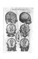 Picture 11 of 38 from Tables anatomiques avec les pourtraicts et declaration d'iceulx ensemble un denombrement de cinq cens maladies diverses, au Roy par Jac. Guillemeau d’Orleans, Chirurgien du Roy et Juré a Paris, [suivi de] Anatomie universelle du corps humain en tables methodiques. Avec les portraicts et figures de chacune des parties et declaration d’icelles. Divisee en sept livres ensemble un denombrement de cinq cens maladies diverses. Au Roy par Jaques Guillemeau, chirurgien du roy, et jure a Paris, (1586), leaf 20
