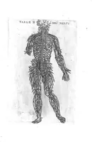 Picture 13 of 38 from Tables anatomiques avec les pourtraicts et declaration d'iceulx ensemble un denombrement de cinq cens maladies diverses, au Roy par Jac. Guillemeau d’Orleans, Chirurgien du Roy et Juré a Paris, [suivi de] Anatomie universelle du corps humain en tables methodiques. Avec les portraicts et figures de chacune des parties et declaration d’icelles. Divisee en sept livres ensemble un denombrement de cinq cens maladies diverses. Au Roy par Jaques Guillemeau, chirurgien du roy, et jure a Paris, (1586), leaf 24