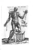 Picture 17 of 38 from Tables anatomiques avec les pourtraicts et declaration d'iceulx ensemble un denombrement de cinq cens maladies diverses, au Roy par Jac. Guillemeau d’Orleans, Chirurgien du Roy et Juré a Paris, [suivi de] Anatomie universelle du corps humain en tables methodiques. Avec les portraicts et figures de chacune des parties et declaration d’icelles. Divisee en sept livres ensemble un denombrement de cinq cens maladies diverses. Au Roy par Jaques Guillemeau, chirurgien du roy, et jure a Paris, (1586), leaf 32
