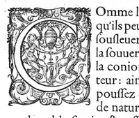 Picture 21 of 38 from Tables anatomiques avec les pourtraicts et declaration d'iceulx ensemble un denombrement de cinq cens maladies diverses, au Roy par Jac. Guillemeau d’Orleans, Chirurgien du Roy et Juré a Paris, [suivi de] Anatomie universelle du corps humain en tables methodiques. Avec les portraicts et figures de chacune des parties et declaration d’icelles. Divisee en sept livres ensemble un denombrement de cinq cens maladies diverses. Au Roy par Jaques Guillemeau, chirurgien du roy, et jure a Paris, (1586), leaf 42