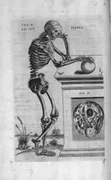 Picture 25 of 38 from Tables anatomiques avec les pourtraicts et declaration d'iceulx ensemble un denombrement de cinq cens maladies diverses, au Roy par Jac. Guillemeau d’Orleans, Chirurgien du Roy et Juré a Paris, [suivi de] Anatomie universelle du corps humain en tables methodiques. Avec les portraicts et figures de chacune des parties et declaration d’icelles. Divisee en sept livres ensemble un denombrement de cinq cens maladies diverses. Au Roy par Jaques Guillemeau, chirurgien du roy, et jure a Paris, (1586), leaf 73