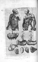 Picture 27 of 38 from Tables anatomiques avec les pourtraicts et declaration d'iceulx ensemble un denombrement de cinq cens maladies diverses, au Roy par Jac. Guillemeau d’Orleans, Chirurgien du Roy et Juré a Paris, [suivi de] Anatomie universelle du corps humain en tables methodiques. Avec les portraicts et figures de chacune des parties et declaration d’icelles. Divisee en sept livres ensemble un denombrement de cinq cens maladies diverses. Au Roy par Jaques Guillemeau, chirurgien du roy, et jure a Paris, (1586), leaf 85