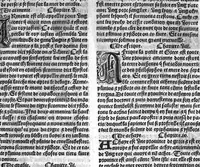 An illustration from Le proprietaire des choses tresutille et proffitable aux corps humain, avec aucunes additions nouvellement adjoustees cest assavoir : les vertus et proprietez des eaues artificielles et des herbes. Les nativitez des hommes et des femmes selon les douze signes. Et plusieurs receptes contre aulcunes maladies. Item ung remede tresutille contre fievre pestilentieuse et aultre maniere d’epydimie, approuvee par plusieurs docteurs en medecine (1528)