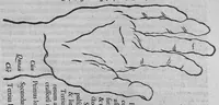 An illustration from Specimen medicinae sinicae sive, Opuscula medica ad mentem sinensium, continens I. De pulsibus libros quatuor è sinico translatos. II. Tractatus de pulsibus ab erudito europaeo collectos. III. Fragmentum operis medici ibidem ab erudito europaeo conscripti. IV. Excerpta literis eruditi europaei in China. V. Schemata ad meliorem praecedentium intelligentiam. VI. De indiciis morborum ex linguae coloribus & affectionibus cum figuris aeneis & ligneis. Edidit Andreas Cleyer (1682)