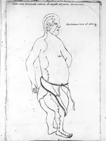 An illustration from Specimen medicinae sinicae sive, Opuscula medica ad mentem sinensium, continens I. De pulsibus libros quatuor è sinico translatos. II. Tractatus de pulsibus ab erudito europaeo collectos. III. Fragmentum operis medici ibidem ab erudito europaeo conscripti. IV. Excerpta literis eruditi europaei in China. V. Schemata ad meliorem praecedentium intelligentiam. VI. De indiciis morborum ex linguae coloribus & affectionibus cum figuris aeneis & ligneis. Edidit Andreas Cleyer (1682)