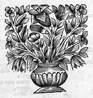 An illustration from Casus medicinales annorum 1659-60 & 61 (1695)
